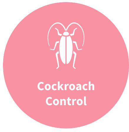 1 Year Roach Servicing