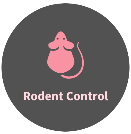 Rodent Control & Prevention Service